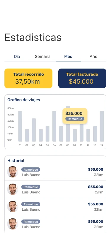 Estadísticas del gruero: kilómetros, facturación e historial.