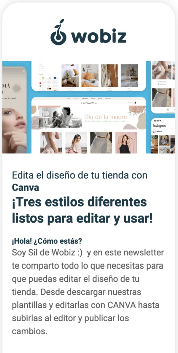 Newsletter: tres estilos listos para editar en Canva.